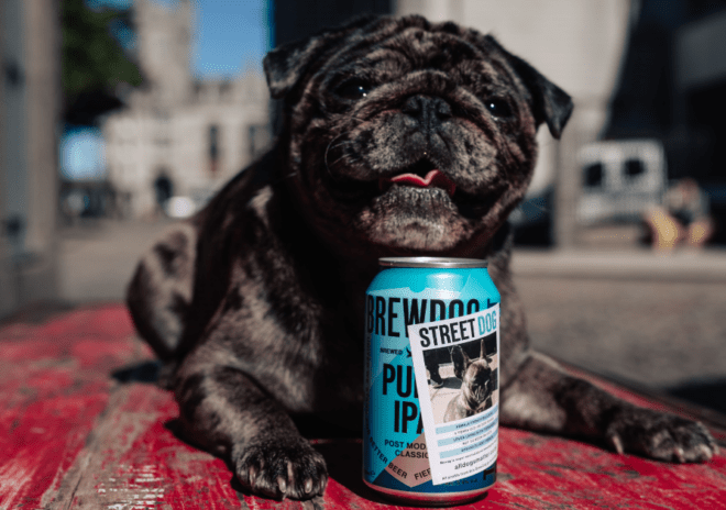 Street Dog la campaña de BrewDog que está publicando fotos de perros sin hogar en sus latas para encontrarles una nueva familia